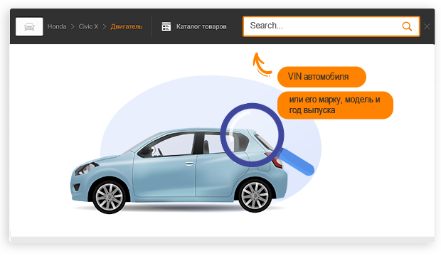 search-model
